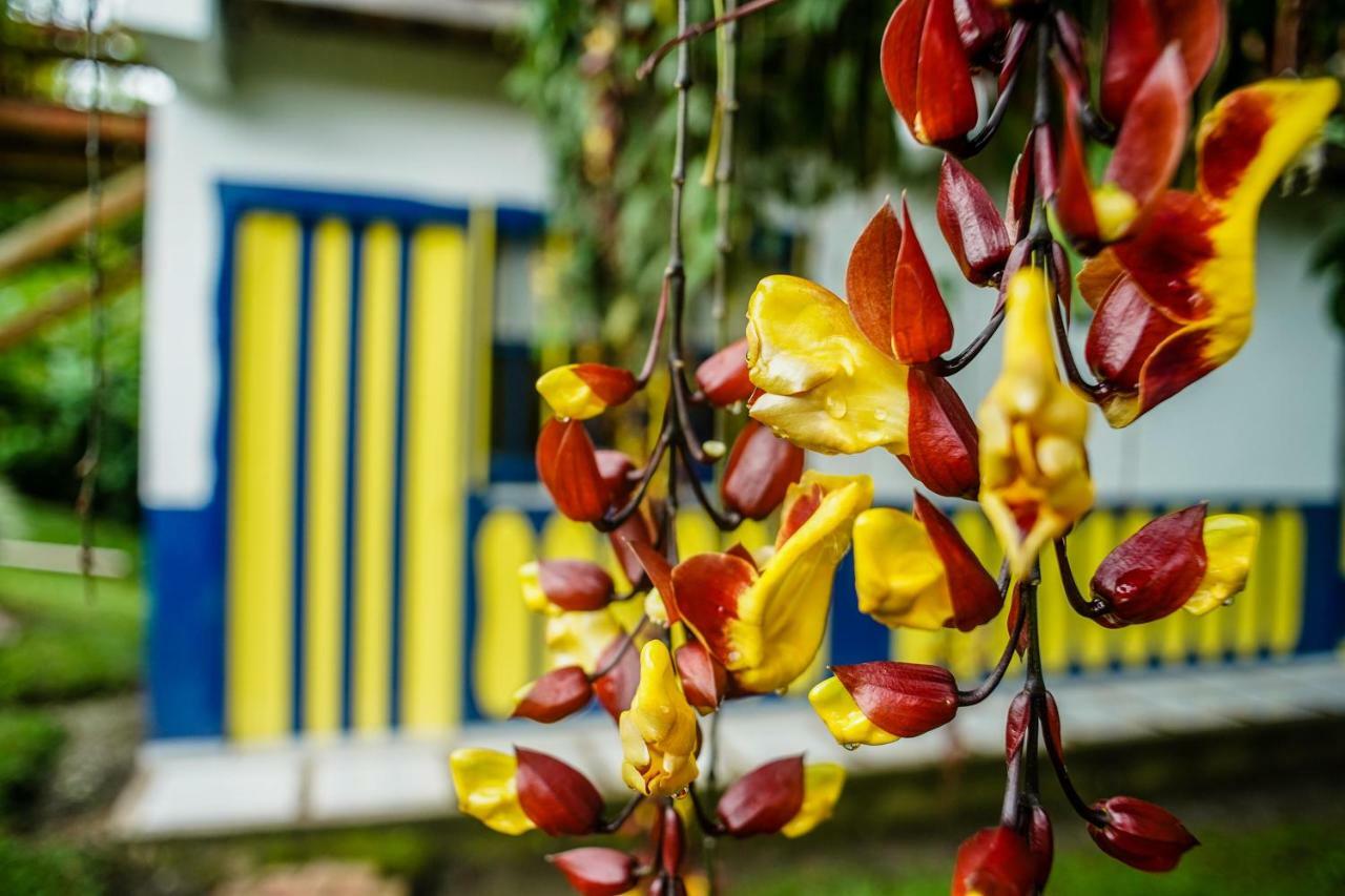 Holiday home Alejandra Del Pilar *